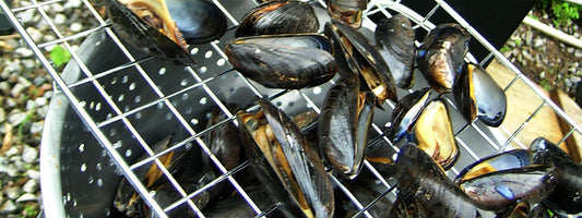 Seafood Salad with Cold Smoked Mussels
